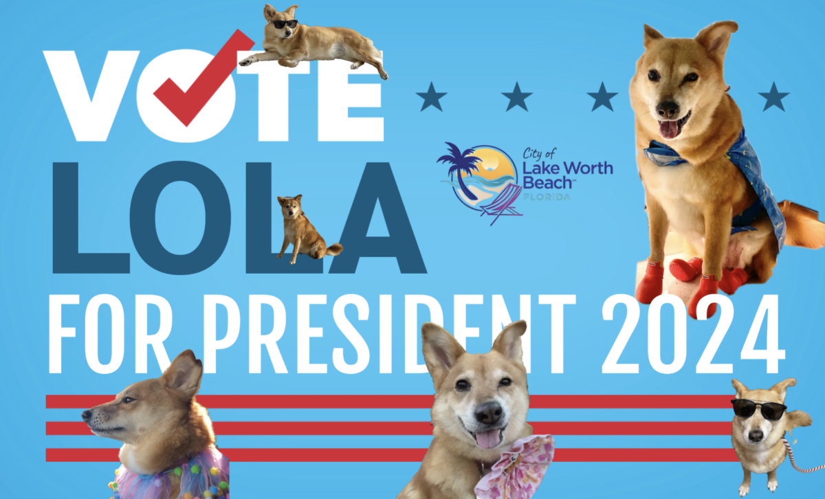 Pup Prez 2024 Lake Worth Beach FL Lola